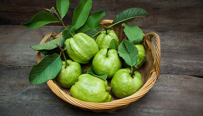 Remedio dolor de muela - Guayaba